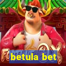 betula bet